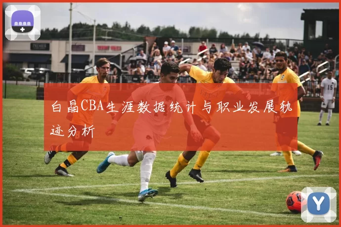 白晶CBA生涯数据统计与职业发展轨迹分析