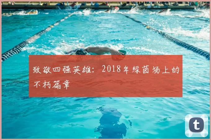 致敬四强英雄：2018年绿茵场上的不朽篇章