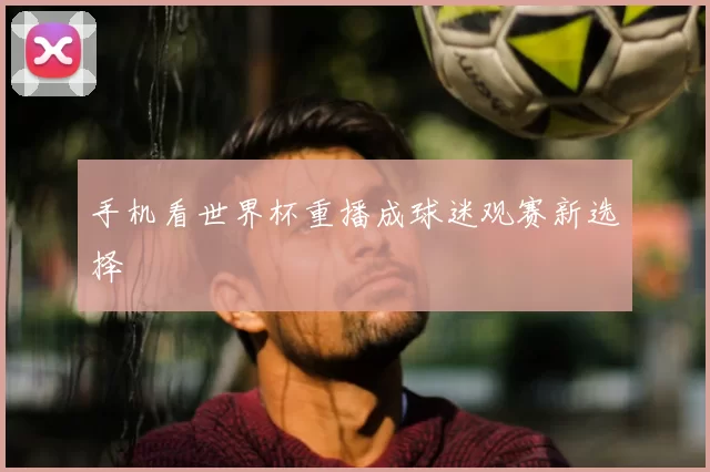 手机看世界杯重播成球迷观赛新选择