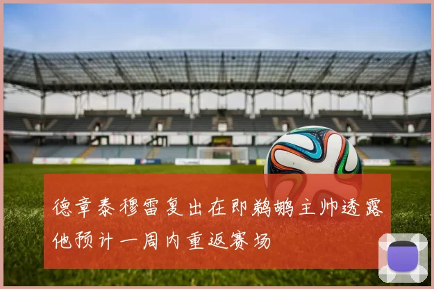 德章泰穆雷复出在即鹈鹕主帅透露他预计一周内重返赛场