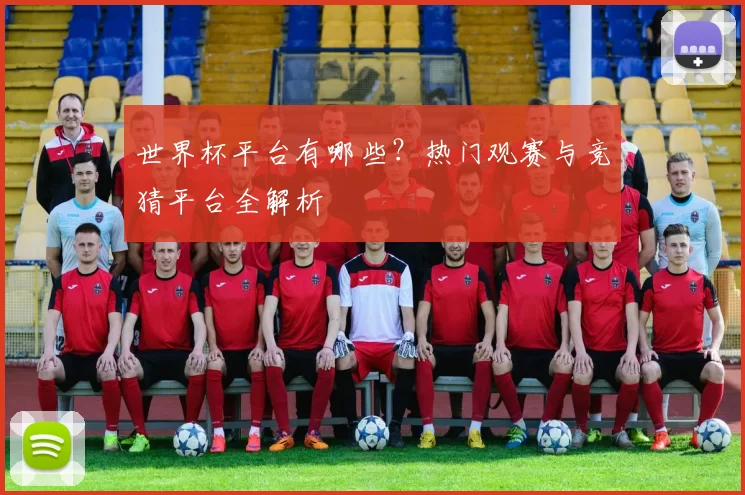 世界杯平台有哪些？热门观赛与竞猜平台全解析
