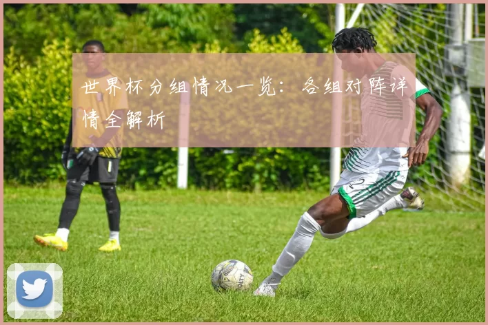 世界杯分组情况一览:各组对阵详情全解析