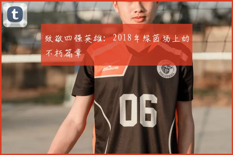 致敬四强英雄:2018年绿茵场上的不朽篇章
