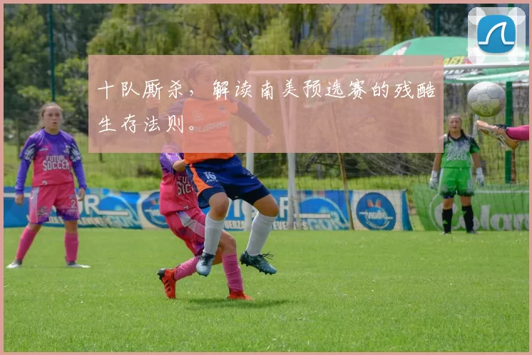 十队厮杀,解读南美预选赛的残酷生存法则。