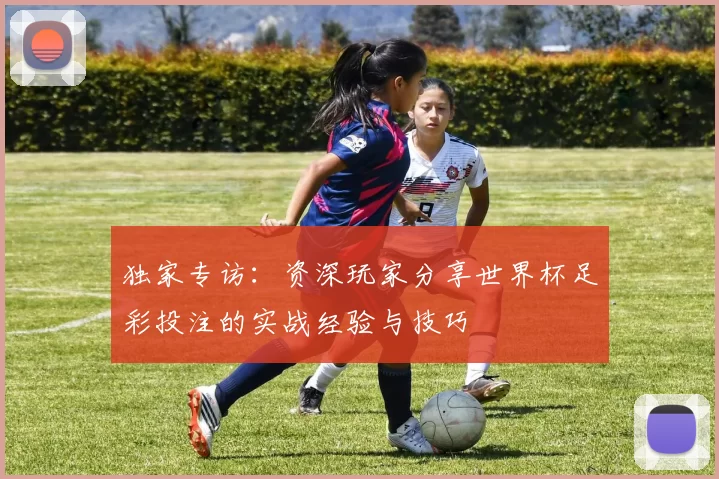 独家专访：资深玩家分享世界杯足彩投注的实战经验与技巧