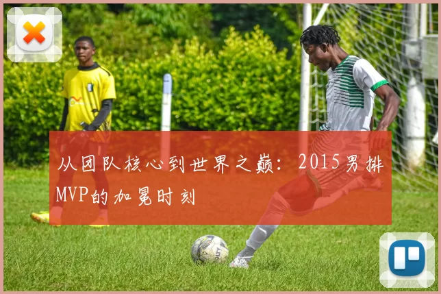 从团队核心到世界之巅：2015男排MVP的加冕时刻