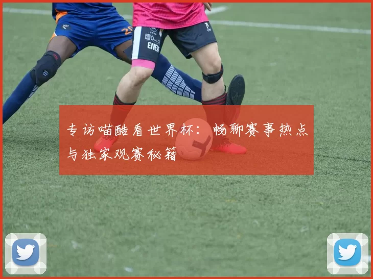 专访喵酷看世界杯：畅聊赛事热点与独家观赛秘籍