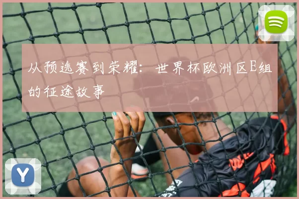 从预选赛到荣耀：世界杯欧洲区E组的征途故事