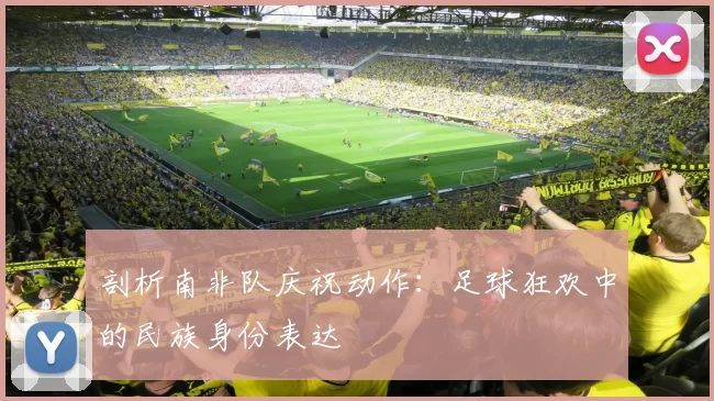 剖析南非队庆祝动作:足球狂欢中的民族身份表达