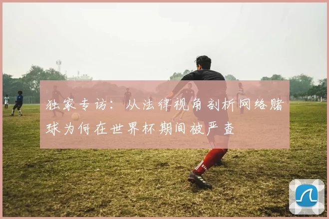独家专访：从法律视角剖析网络赌球为何在世界杯期间被严查