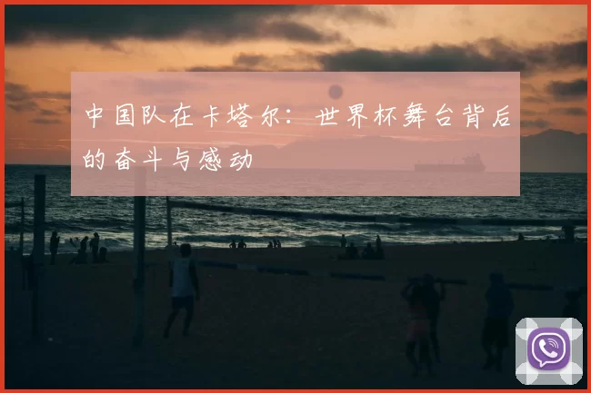 中国队在卡塔尔：世界杯舞台背后的奋斗与感动