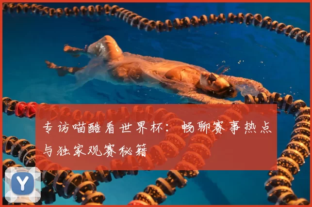 专访喵酷看世界杯：畅聊赛事热点与独家观赛秘籍