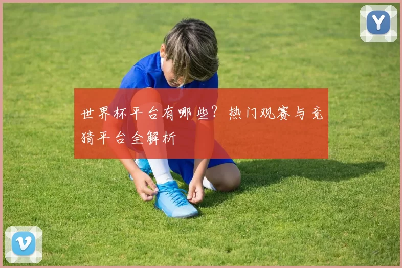 世界杯平台有哪些？热门观赛与竞猜平台全解析